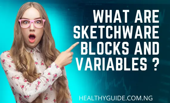 What are sketchware blocks and variables ?