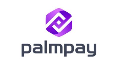 How To Become a Palmpay Aggregator and Palmpay Agent