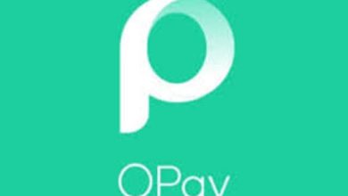How To Borrow Money From Opay App Easily