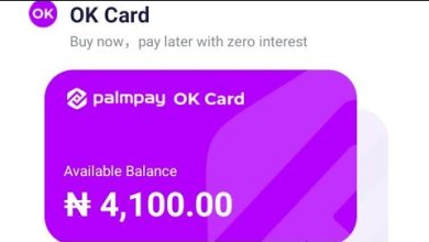 Palmpay OK Card, How to Repay, Deactivate and Unfreeze Account