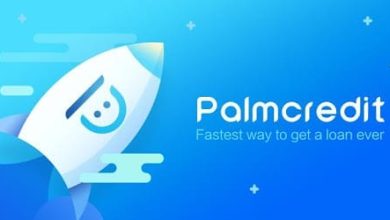 Palmcredit customer care WhatsApp number, phone number, email address, and Office Adress