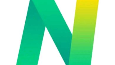 NiceNaira loan app logo